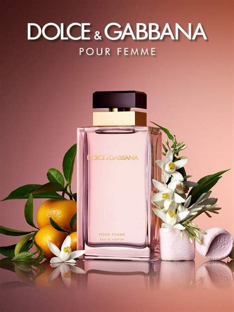 perfumes dolce gabbana mujer falabella|dolce and gabbana unisex fragrance.